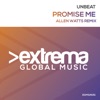 Promise Me (Allen Watts Remix) - Single