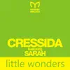 Stream & download Little Wonders (feat. Sarah) [Remixes] - Single