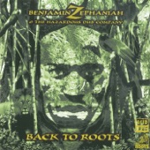 Back to Roots artwork