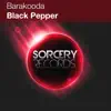 Stream & download Black Pepper - Single