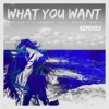 What You Want (feat. Nicole Gartz) [Remixes] - Single