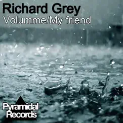 Volumme / My Friend - Single by Richard Grey album reviews, ratings, credits