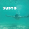 Susto artwork