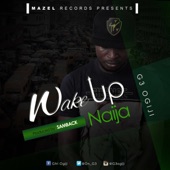 Wake Up Naija artwork