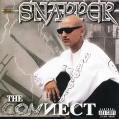 The Connect by Snapper album reviews, ratings, credits