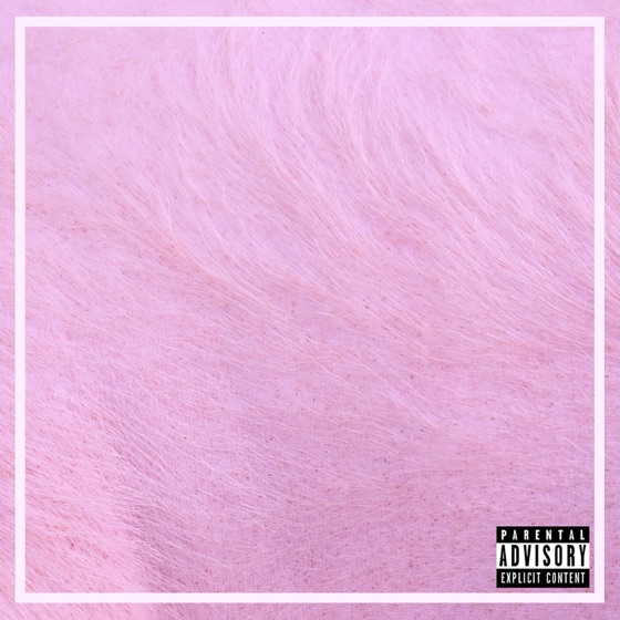 Cover artwork for Not Gay