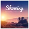 Showing - Lamont Landers lyrics