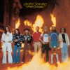 Lynyrd Skynyrd - I Know a Little