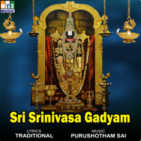 Somayajulu & S.P. Balu - Sri Srinivasa Gadyam artwork