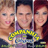 Companhia do Calypso, Vol. 11 artwork