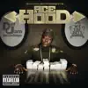 DJ Khaled Presents Ace Hood: Gutta album lyrics, reviews, download