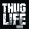 Cradle to the Grave - Thug Life lyrics