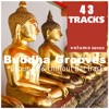 Buddha Grooves, Vol. 7 - 42 Lounge & Chillout Bar Tracks