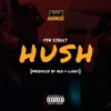 Hush (feat. N90 & Rzo Munna) - Single album lyrics, reviews, download