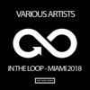 In the Loop: Miami 2018, 2018