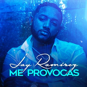 Me Provocas - Single