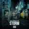 Storm (feat. Alex Dimez) - TopLeft lyrics