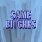 Same Bitches (Instrumental) artwork