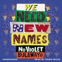 NoViolet Bulawayo - We Need New Names artwork