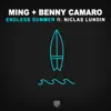 Stream & download Endless Summer (feat. Niclas Lundin)