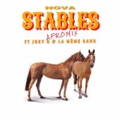 Stables (feat. Joey B & La Même Gang) [Afromix] artwork