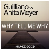 Why Tell Me Why (feat. Miami Inc.) [Guilliano vs. Cj Stone Remix] artwork