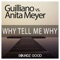 Why Tell Me Why (feat. Miami Inc.) [Guilliano vs Cj Stone Dub Mix] artwork