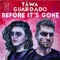 Before It's Gone (feat. Monica Guardado) - Keegan Tawa lyrics