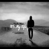 It's My Life (feat. Sarkodie) artwork