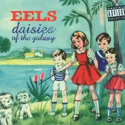 Daisies of the Galaxy - Eels