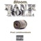 Bankroll - Late Bloom lyrics