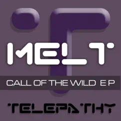 Call of the Wild EP by Melt album reviews, ratings, credits