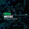 Molecule (Saintone Remix) - Impak lyrics