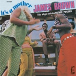 James Brown - I'm Shook