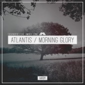 Morning Glory artwork