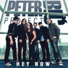 Peter Bic Project - Hey Now artwork