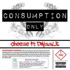 Consumption Only (feat. D Mizzel) Song Lyrics
