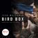 Josh Malerman - Bird Box