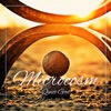 Microcosm