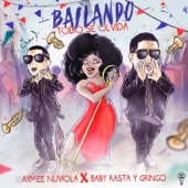 Bailando Todo Se Olvida (feat. Baby Rasta y Gringo) [Extended Version] artwork