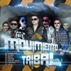 Movimiento Tribal, Vol. 1