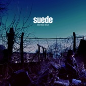 Suede - Wastelands