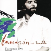 Flamenco vivo artwork