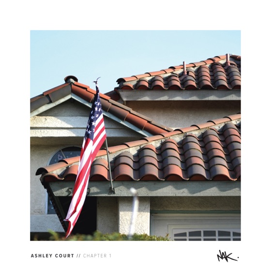 Cover artwork for Anesthesia