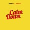 Calm Down (feat. Mr Eazi) artwork