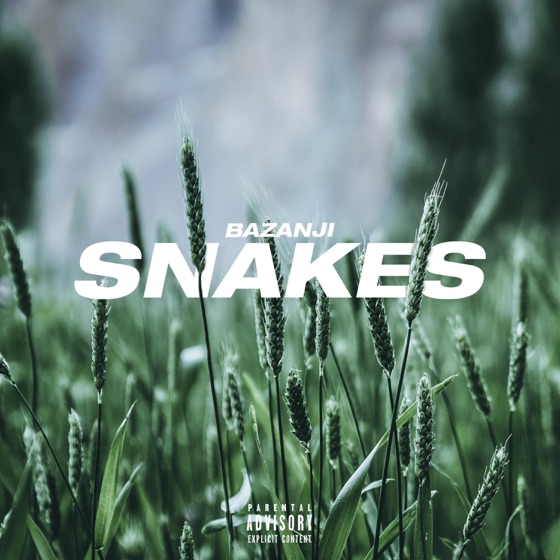 Cover artwork for Snakes