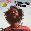 Ultimate Collection: Burning Spear, 2001