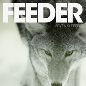 Feeder - High