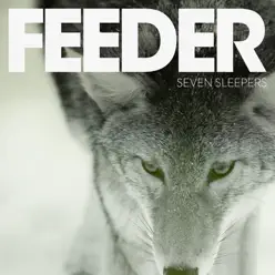 Seven Sleepers - Single - Feeder