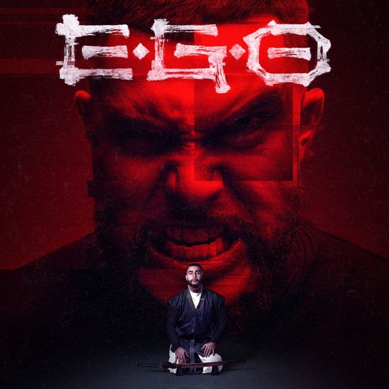 Cover artwork for BRN